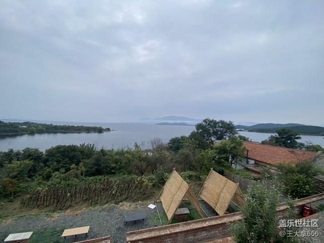 【城市温度】深秋的草坪婚礼