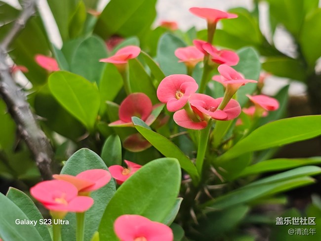 【深湾映秋】初秋日常