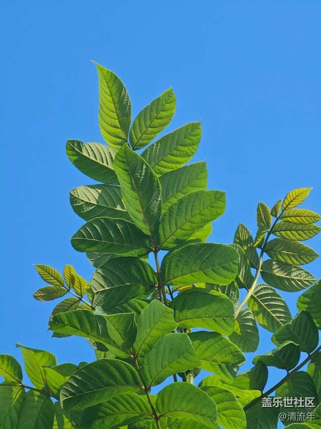 【初秋】秋季随拍