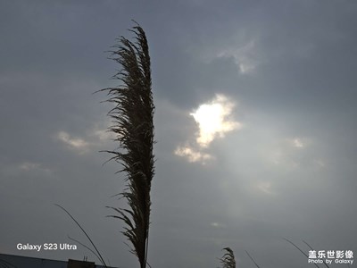 【步履间的风景】+路上随拍