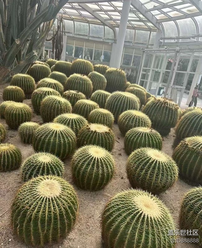 【Galaxy影像】#秋韵 打卡植物园