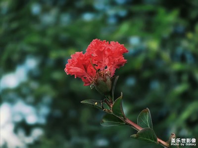 带个相框非常好看