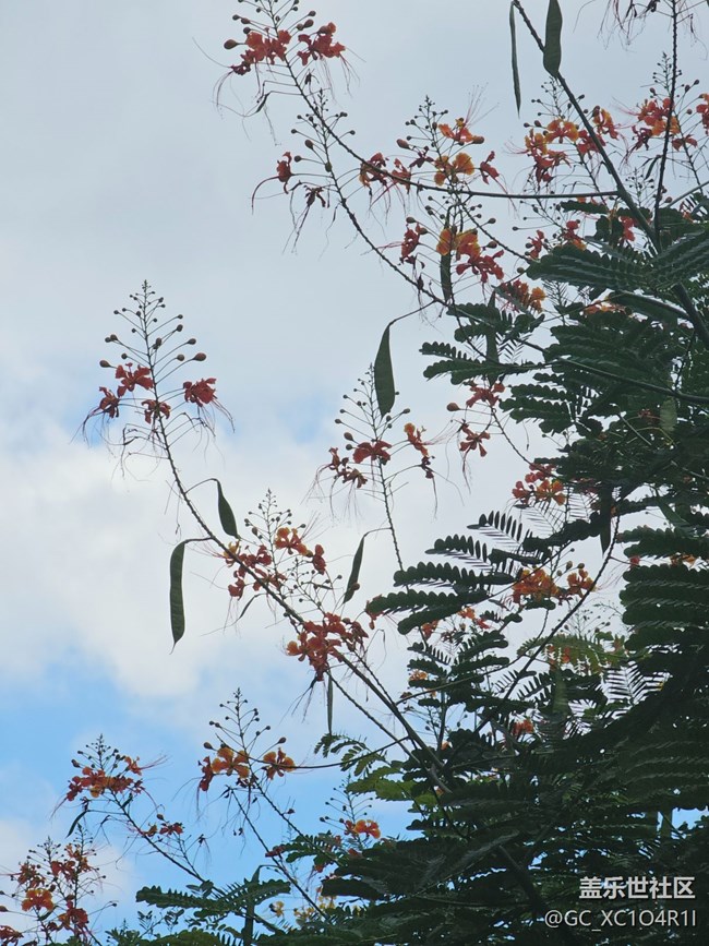 【初秋】日常时光