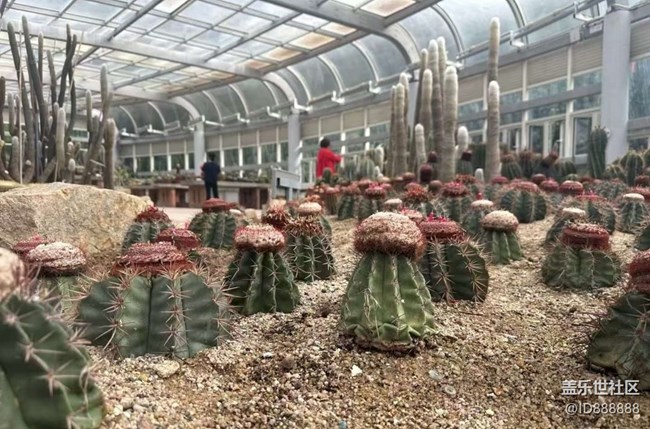 【Galaxy影像】#秋韵 打卡植物园