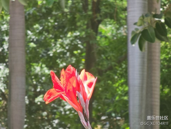 【初秋】日常时光