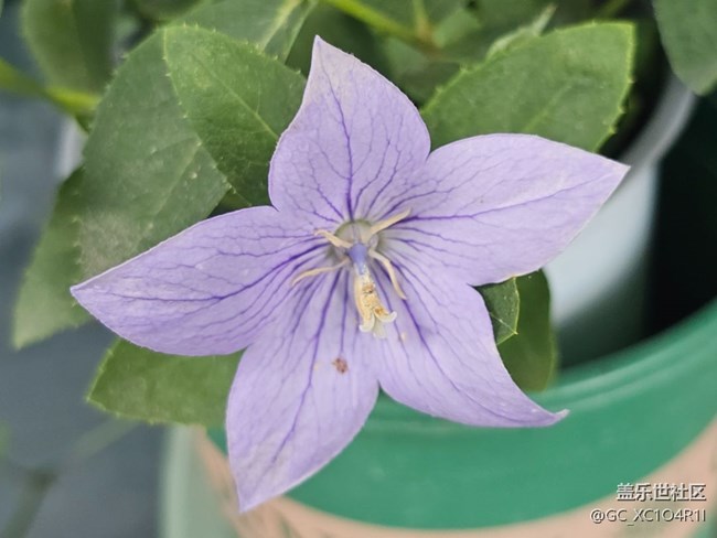 【初秋】初秋角落