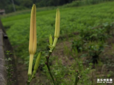 【步履间的风景】+场景小拍