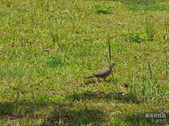 【初秋】秋季随拍