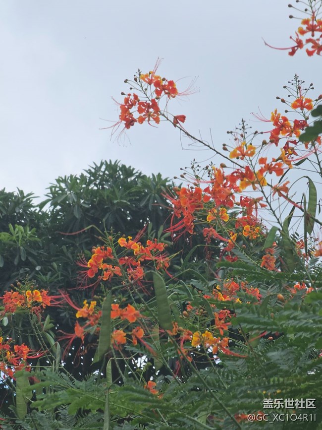 【初秋】天气好