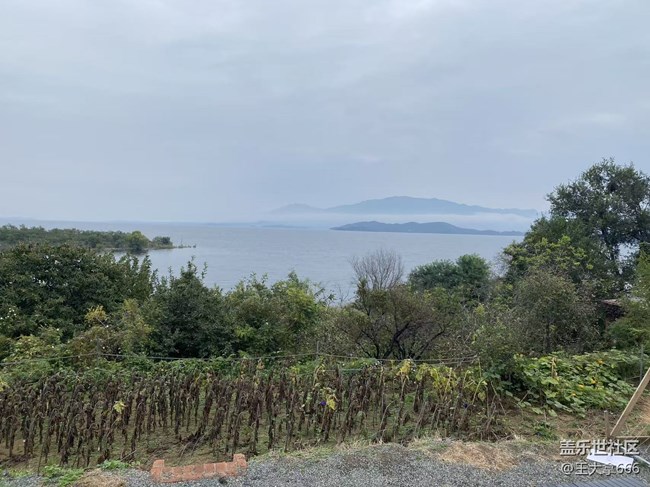 【城市温度】深秋的草坪婚礼