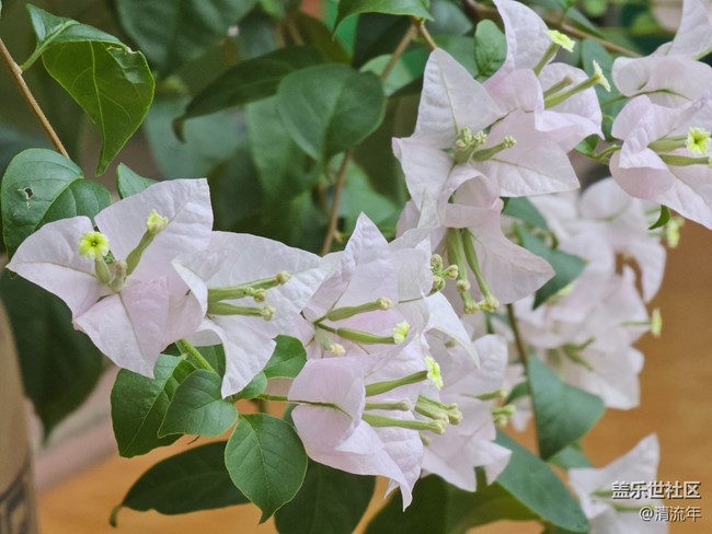 【初秋】微风不燥