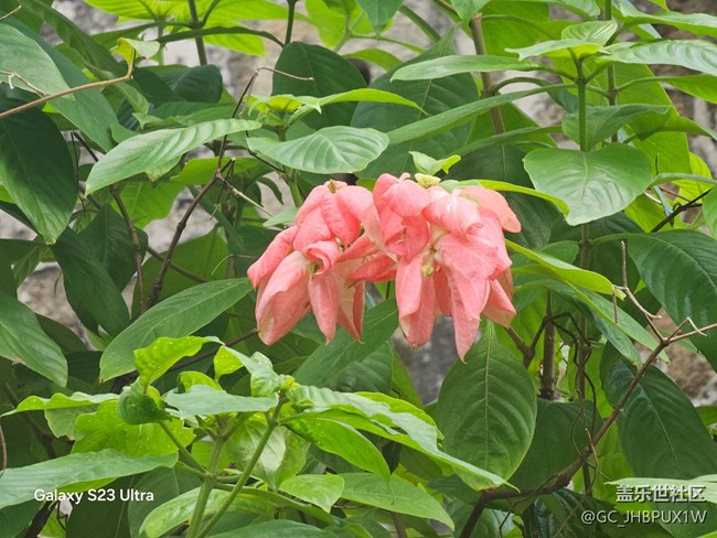 【深湾映秋】深湾日常