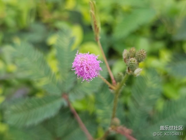 【初秋】天气好