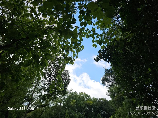 【深湾映秋】深湾日常
