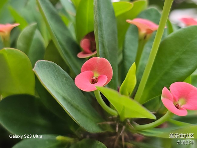【深湾映秋】初秋日常