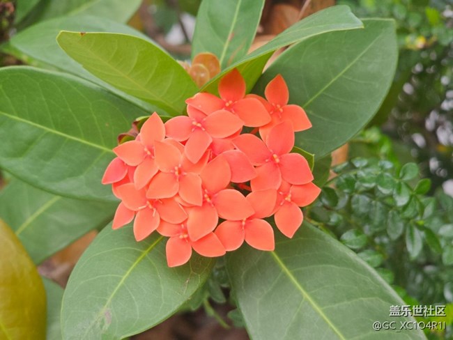 【初秋】天气好