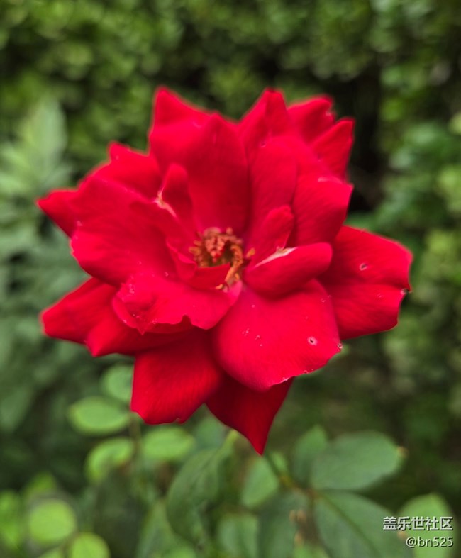 【Galaxy影像】#秋韵