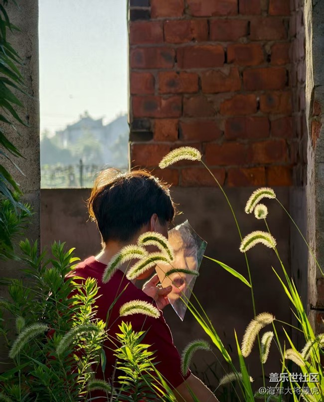 【被遗忘的角落】 【被遗忘的角落】