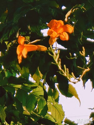 按下快门即是永远✨ 