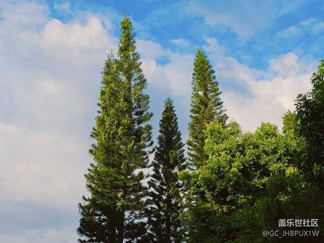 【Galaxy影像】#秋韵 早秋