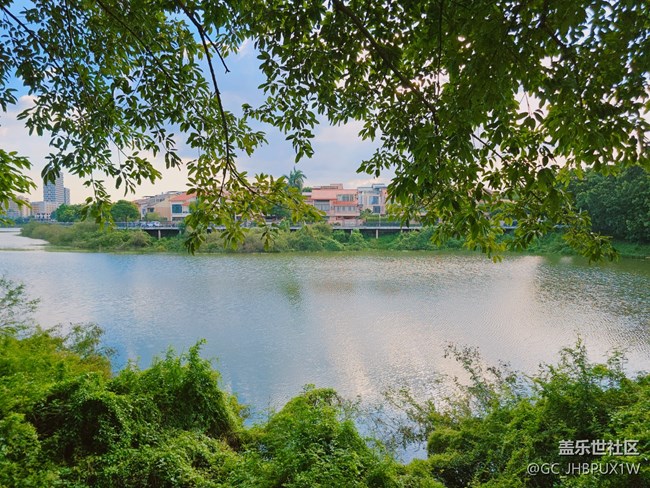 【Galaxy影像】#秋韵 早秋