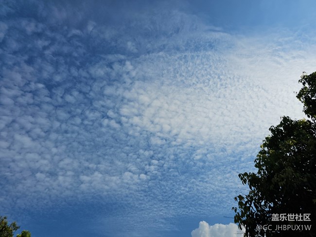 【仰望天空 】蓝蓝的天空