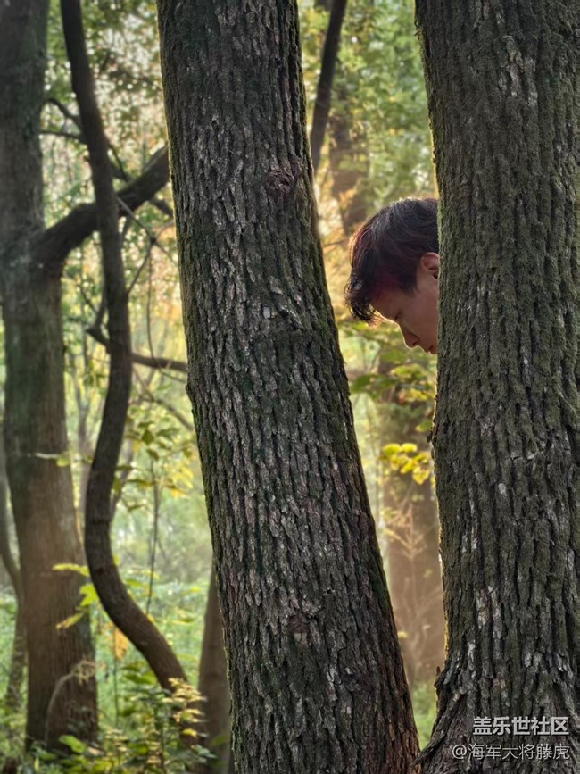 【被遗忘的角落】 【被遗忘的角落】