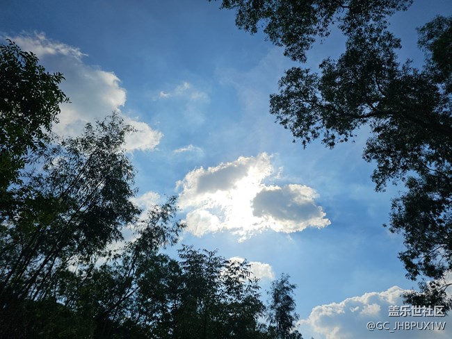 【仰望天空 】蓝蓝的天空