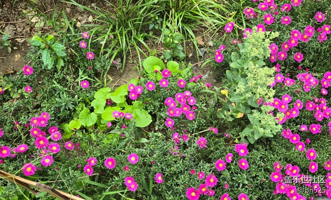 【Galaxy影像】#秋韵