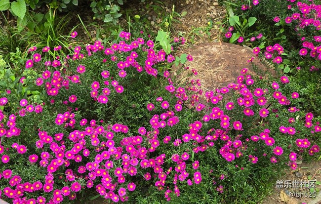 【Galaxy影像】#秋韵