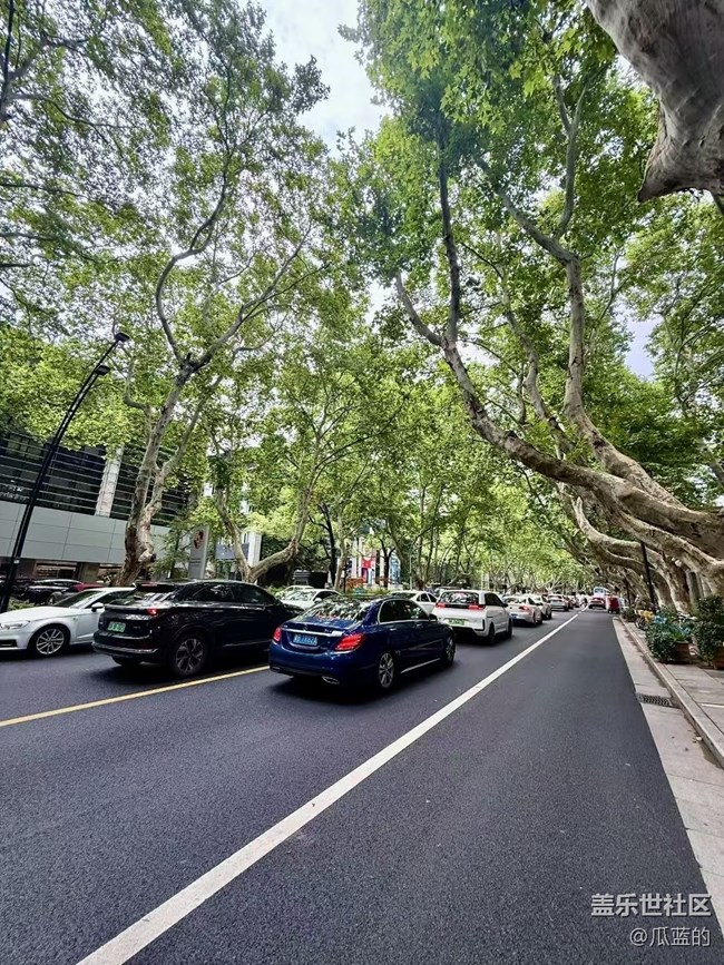 【Galaxy影像】#秋韵 游西湖