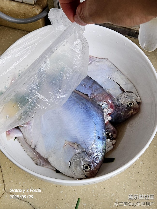 【家乡美食代表】香煎鲳鱼