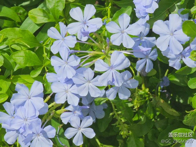 【初秋】秋高气爽