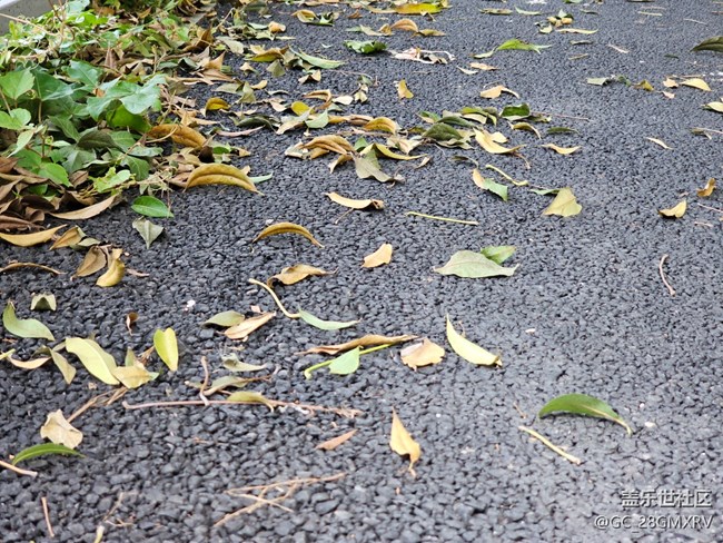 【初秋】秋高气爽