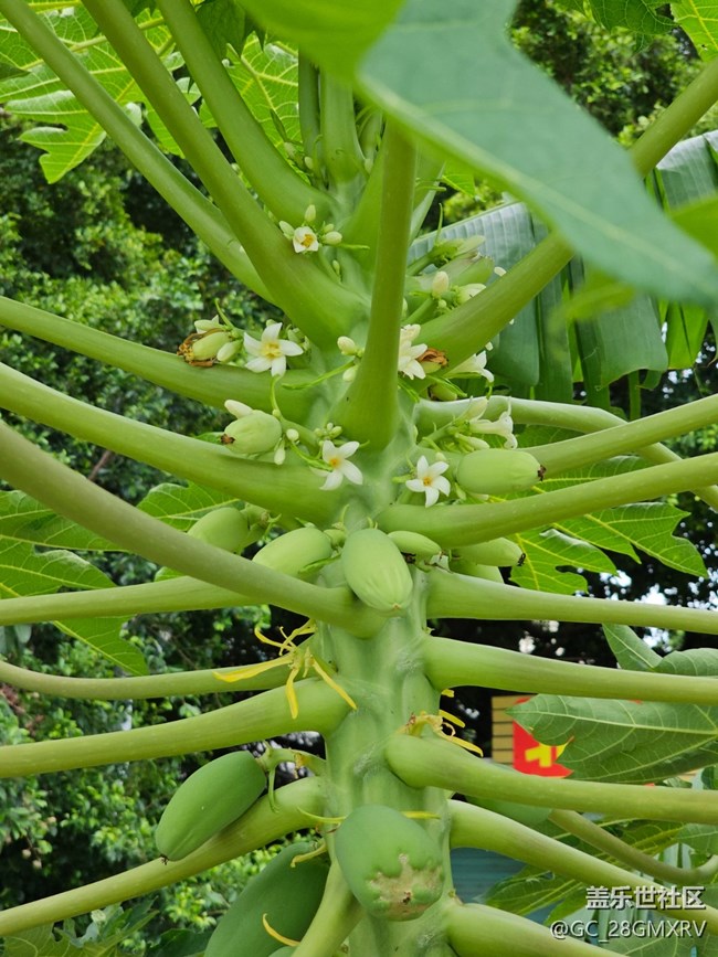 【初秋】秋高气爽