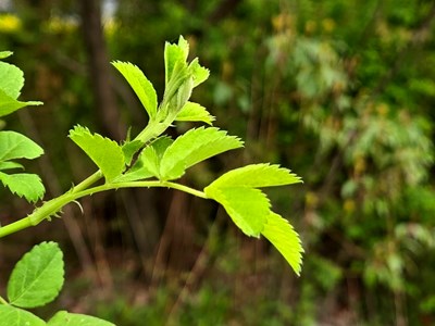 【步履间的风景】时光切片