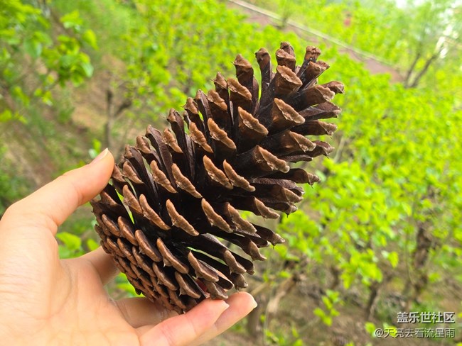 【被遗忘的角落】乡村老家门前