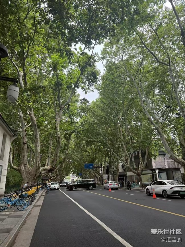 【Galaxy影像】#秋韵 游西湖