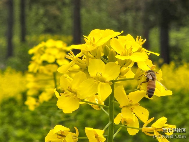 【被遗忘的角落】乡村老家门前