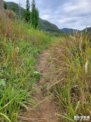 【步履间的风景】蒿里行