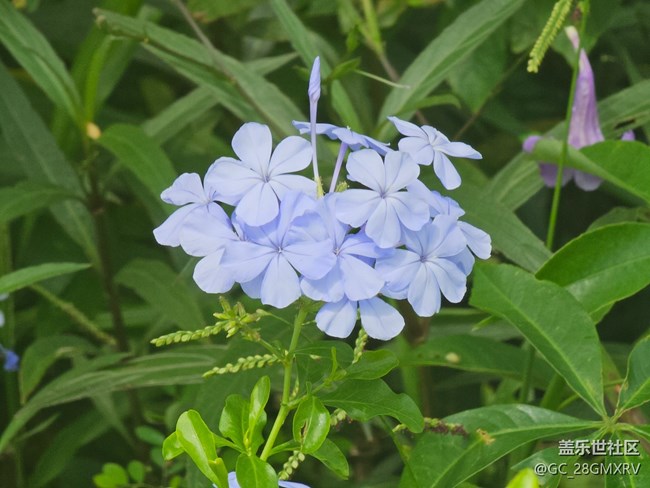【初秋】秋高气爽