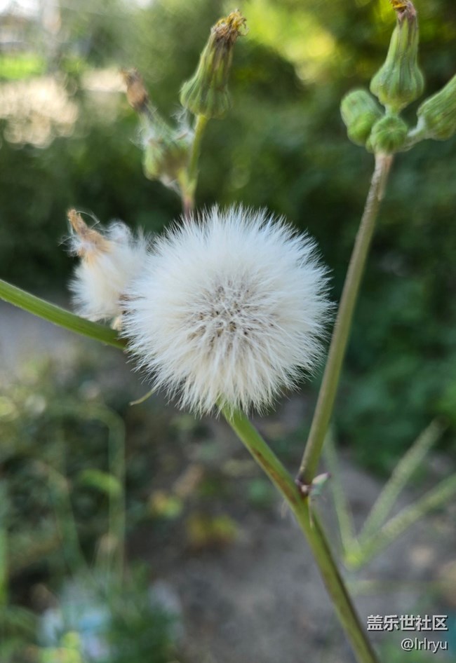 【Galaxy影像】#秋韵