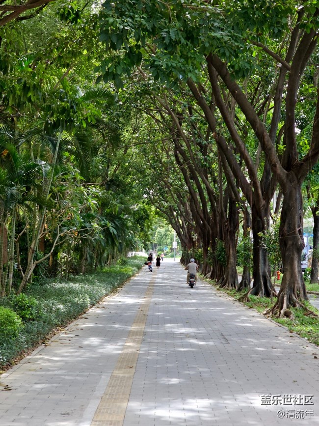 【Galaxy影像】#秋韵 初秋随拍