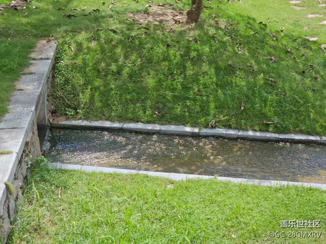 【初秋】秋高气爽