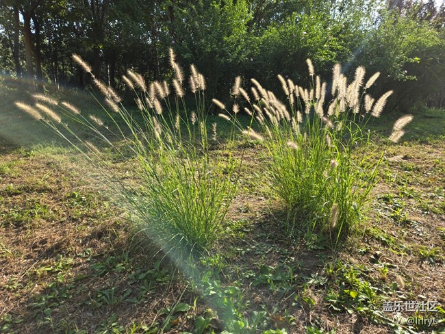 【Galaxy影像】#秋韵