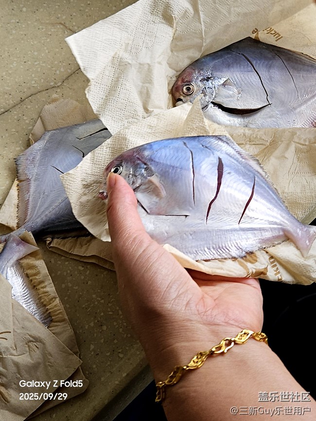 【家乡美食代表】香煎鲳鱼