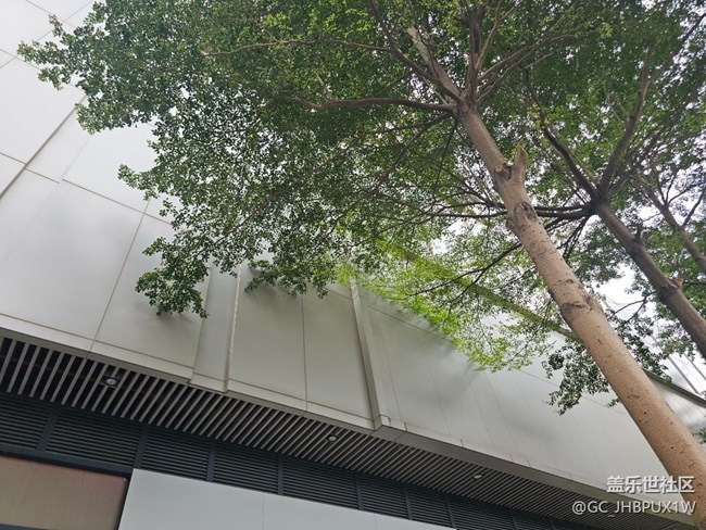 【城市温度】城中散步