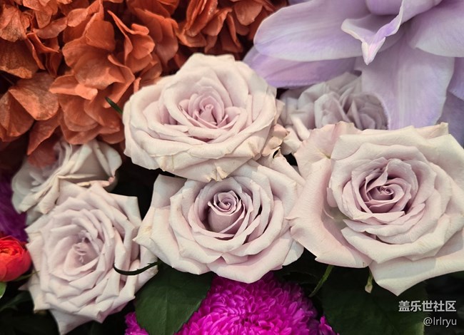 【我与盖乐世社区】记录美好