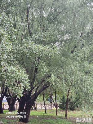 节日里的影像 假日清晨