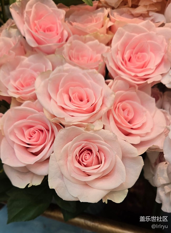 【我与盖乐世社区】记录美好